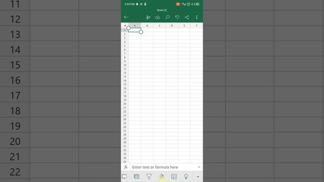 Microsoft Excel Mobile Version Class