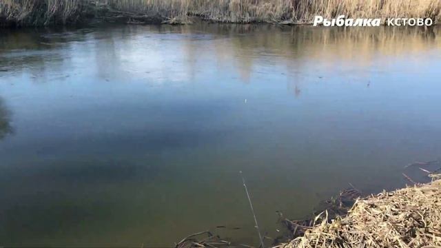 РЫБАЛКА В ЗАПРЕТ на реке Кудьма РЫБЫ НЕТ зато... смотреть онлайн