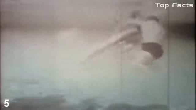 Гигантская змея ест человека живьём смотреть онлайн