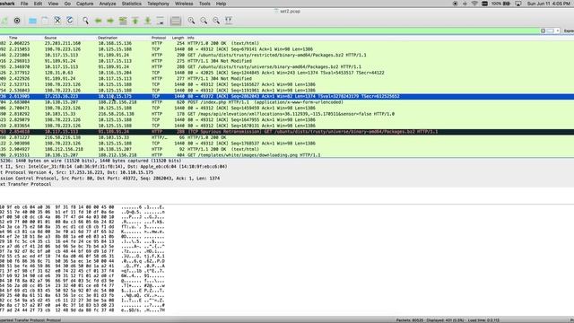 Basic Wireshark overview - PCAPs, reconstruction, extraction & filters. смотреть онлайн