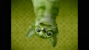 Preview 2 Numa Cat V4 [AANCATMS2021 2.0 version] effects [Inspired by Preview 2002 effects]