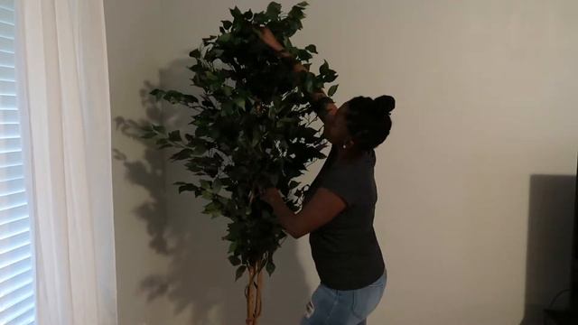 AMAZON PRODUCT REVIEW: IS THIS $59 FAUX FICUS TREE A MUST HAVE?? смотреть онлайн