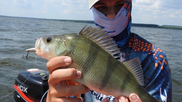 Крупные окуни на раттлины. Отличная рыбалка с сыном. смотреть онлайн