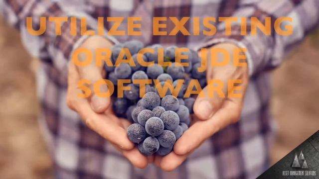 HOW TO UTILIZE EXISTING ORACLE JDE SOFTWARE FOR MANUFACTURING, FOOD & BEVERAGE INDUSTRIES смотреть онлайн