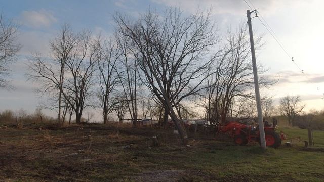 Removing All of My Dead Ash Trees смотреть онлайн