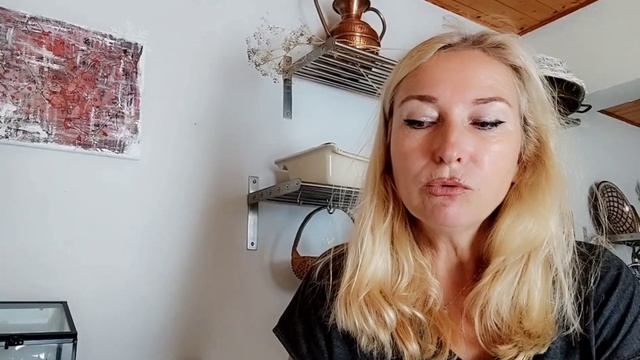 Полезный фастфуд. Питы с фенхелем и индейкой по мексикански. QuiToque смотреть онлайн