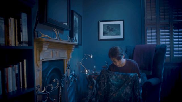 Harry Potter Invisibility Cloak - Appear to Disappear | Wow! Stuff смотреть онлайн