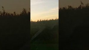 14 июня 2020 г Поездка из Вязников. Отец Сергей Брусилов.