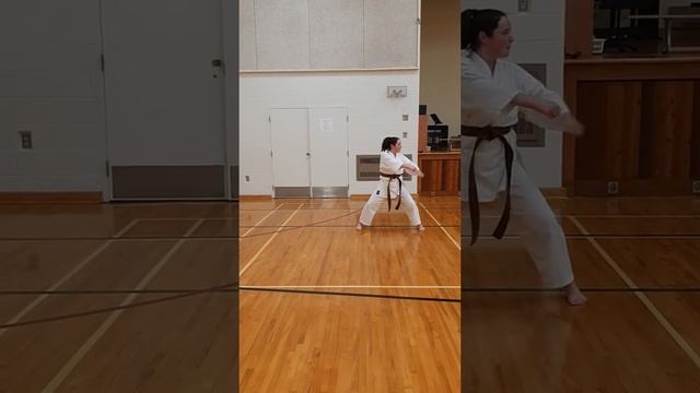 Kata- Tekki Shodan смотреть онлайн