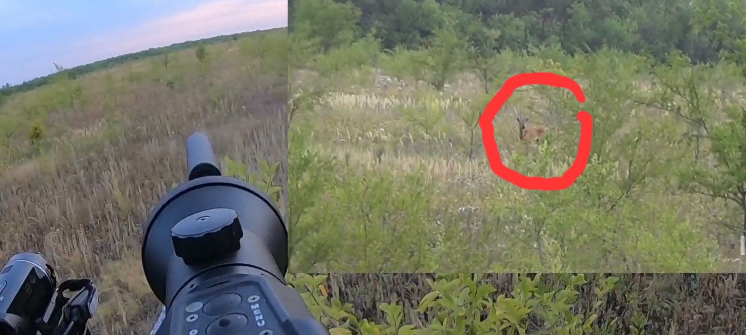 Охота на косулю. Манок.Выстрел по месту. 2022.mp4 смотреть онлайн