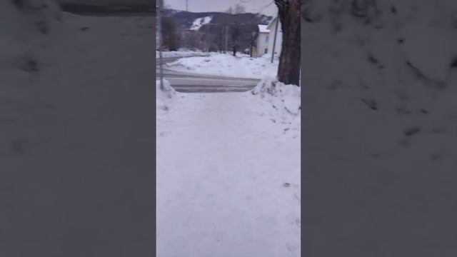 1 февраля 2024. зима уходит. смотреть онлайн