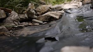 Ремонт плёнки для пруда