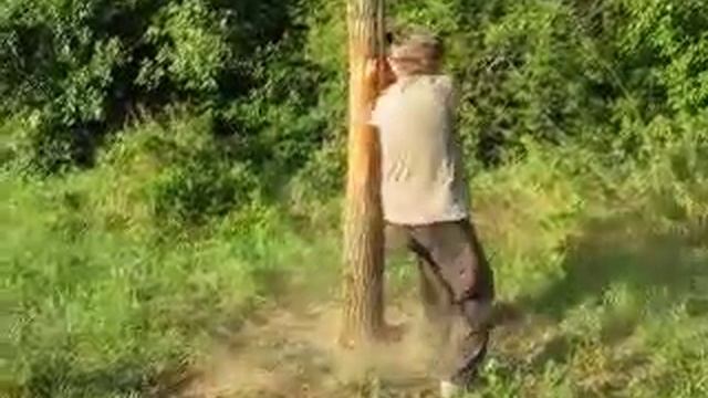 Багуа чжан. Работа со столбом. смотреть онлайн