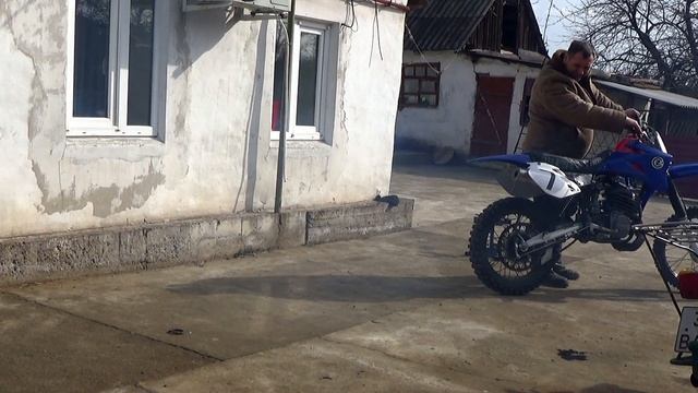 CZ 250 Разбудили чебурека после спячки смотреть онлайн