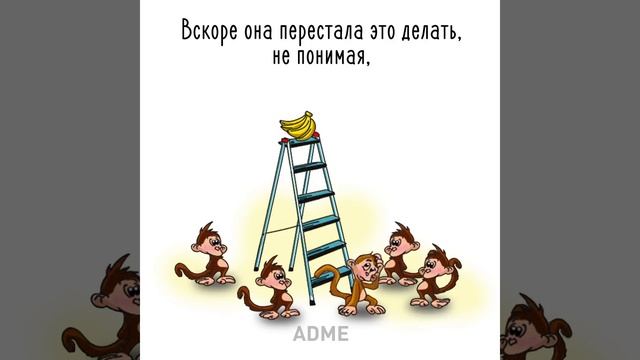 Обезьяны в клетке смотреть онлайн