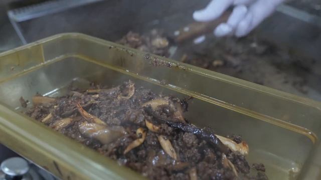 흘리지 않고 먹는 햄버거! 외계인 고문해서 만든 UFO 버거! 신제품 춘천닭갈비버거 / flying saucer UFO burger / korean street food смотреть онлайн