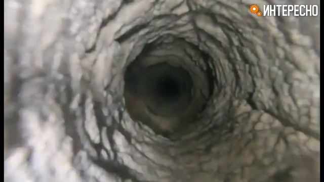 Как выглядит скважина изнутри смотреть онлайн