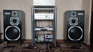 Yamaha ns 1000 m