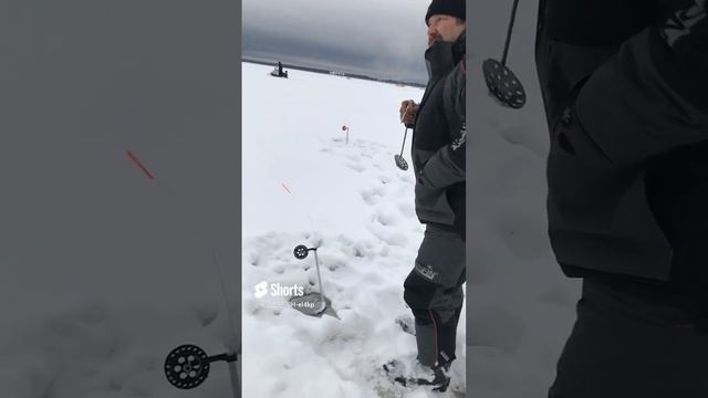 KILLER FISH 007 !!! TAGANKA 2023 !!! смотреть онлайн