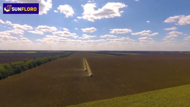 Жатка для уборки подсолнечника сплошного среза смотреть онлайн