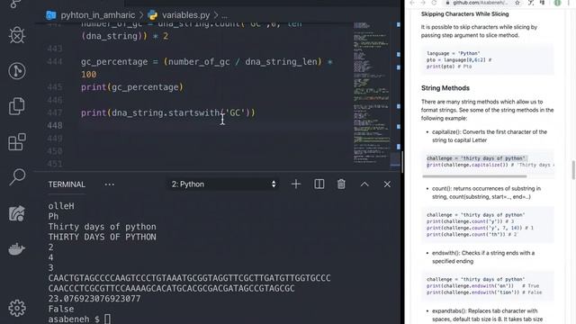 Python in Amharic: Day 3 - 3/4 смотреть онлайн