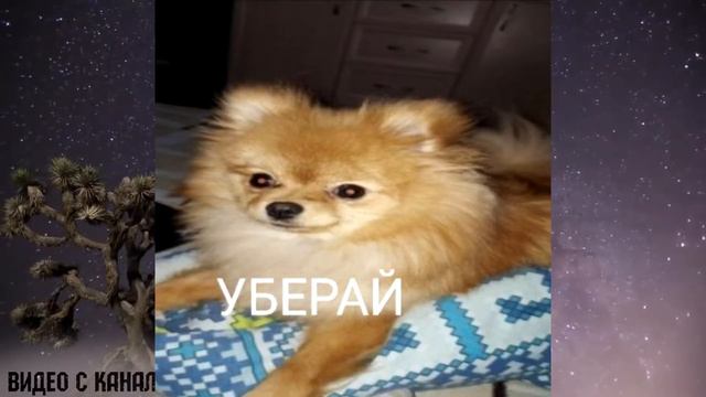 Я Вернулся Из Прошлого смотреть онлайн