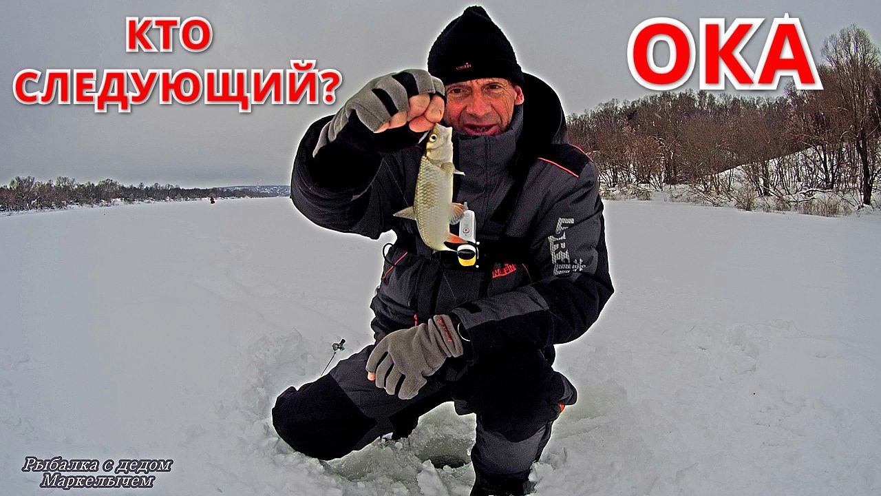 ШЕСТЬ ВИДОВ РЫБ. Рыбалка на ОКЕ. Снова в строю. смотреть онлайн