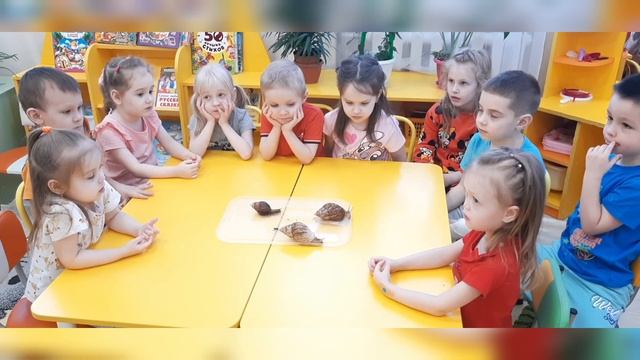 Павловский тракт (средняя группа). Знакомство с улиткой