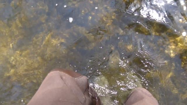 My First Time FLY Fishing!! (Was not expecting this..) смотреть онлайн