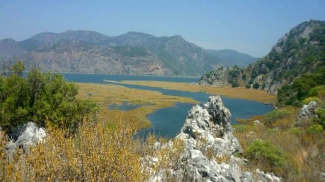 черепаший пляж изтузу смотреть онлайн