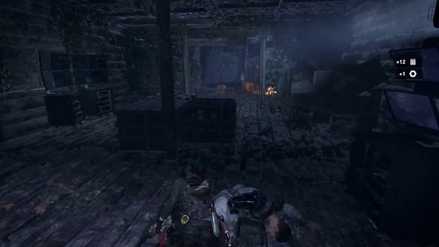 23.Rise of the Tomb Raider _ Геотермальная долина _ Бесшумная ночь