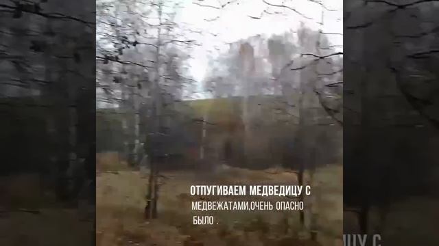 поисково-спасательная работа по пропавшей Вдовиной Оксане. смотреть онлайн