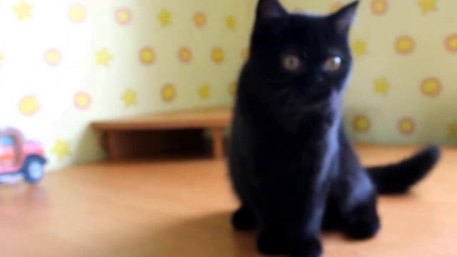 Иза 4 месяца