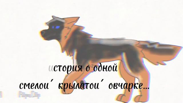 #немецкая_овчарка .История однои́ крылатои́ немецкои́ овчарки мечтающей наи́ти созвездие волка.🌌🐺 смотреть онлайн