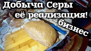 Добыча СЕРЫ и её Реализация! Сера лиственницы, живица!