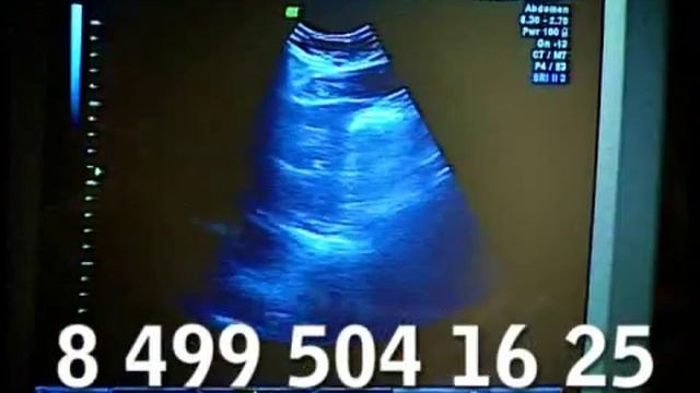 Мы делаем видео! смотреть онлайн