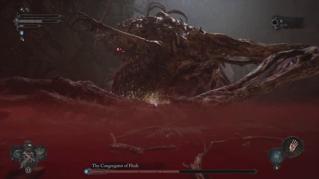 Lords of the Fallen The Congregator of Flesh Boss Fight смотреть онлайн