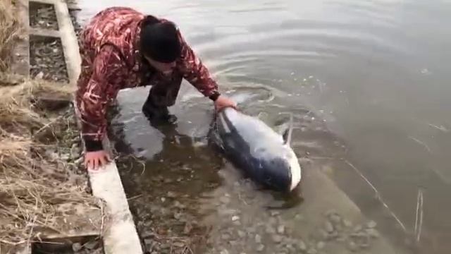 Рыбалка на Москва-реке смотреть онлайн