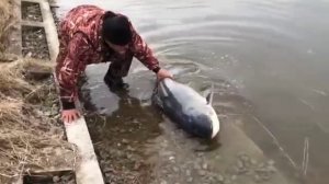 Рыбалка на Москва-реке