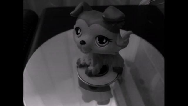 Слайдшоу lps колли смотреть онлайн