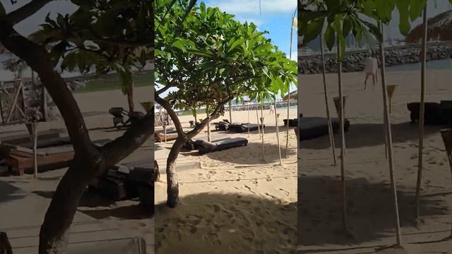 Территория отеля Botany Beach Resort, Таиланд, Паттайя, июнь 2023 смотреть онлайн