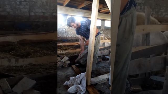 Ферма своми руками. Постройка станков для коров. смотреть онлайн