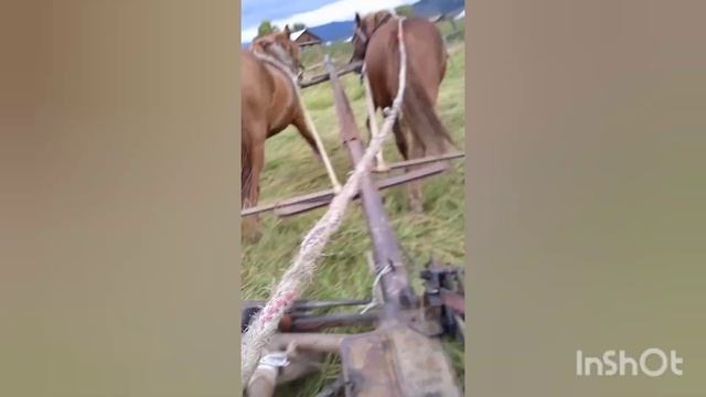 косилка двух конка, кони отлично идут, косилка хорошо косит смотреть онлайн