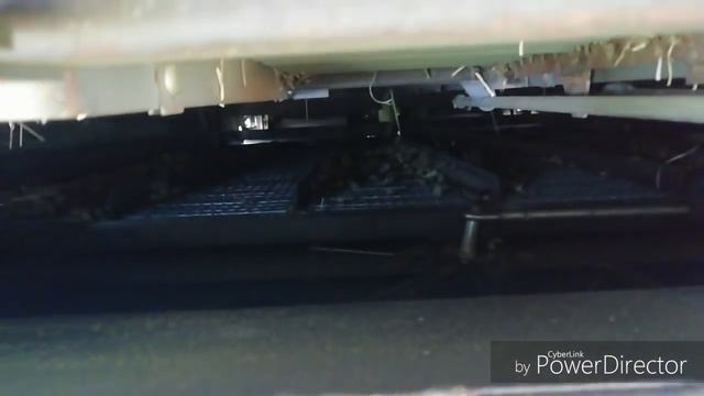 Уборка рапса комбайном Палесье КЗС-1218! смотреть онлайн