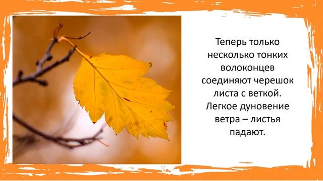 Почему осенью листопад смотреть онлайн