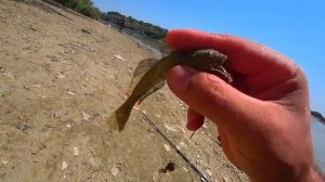 рыбалка в городе Краснодаре рыбалка в краснодаре рыбалка на кубани рыбалка краснодар  река кубань