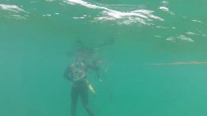 Подводная охота в Каспийском море, 19 апреля 2014 г., Подводная охота на судака.