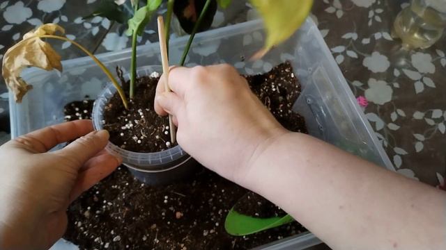 И опять пересадки. 🤗 смотреть онлайн