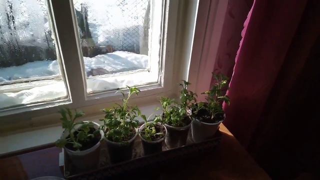 Как живут в деревне Простая жизнь в деревне Дом в деревне смотреть онлайн