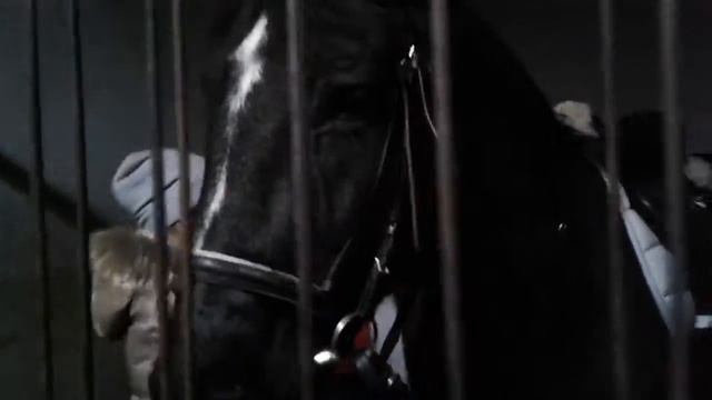 Подготовка к выступлению смотреть онлайн